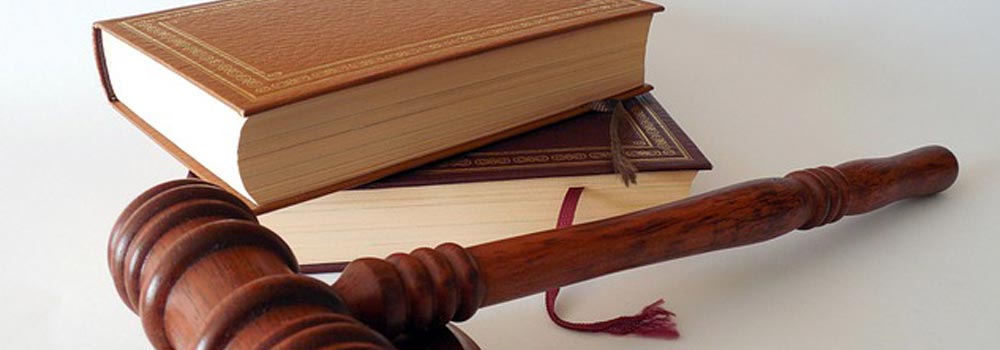 image of law books and a judge's gavel